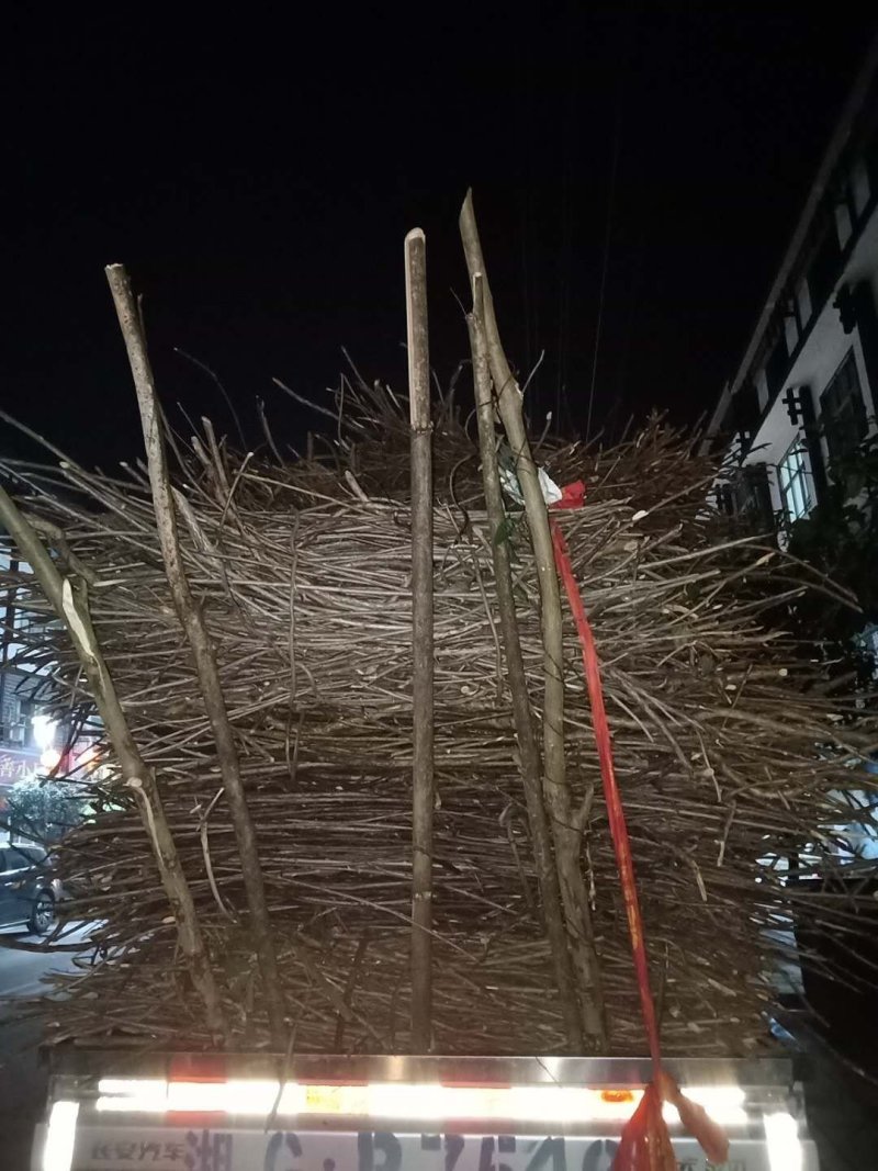 每天都是满满的一车，不要担心我这里会缺货（除非是下雨下）