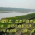 洞庭湖甲鱼