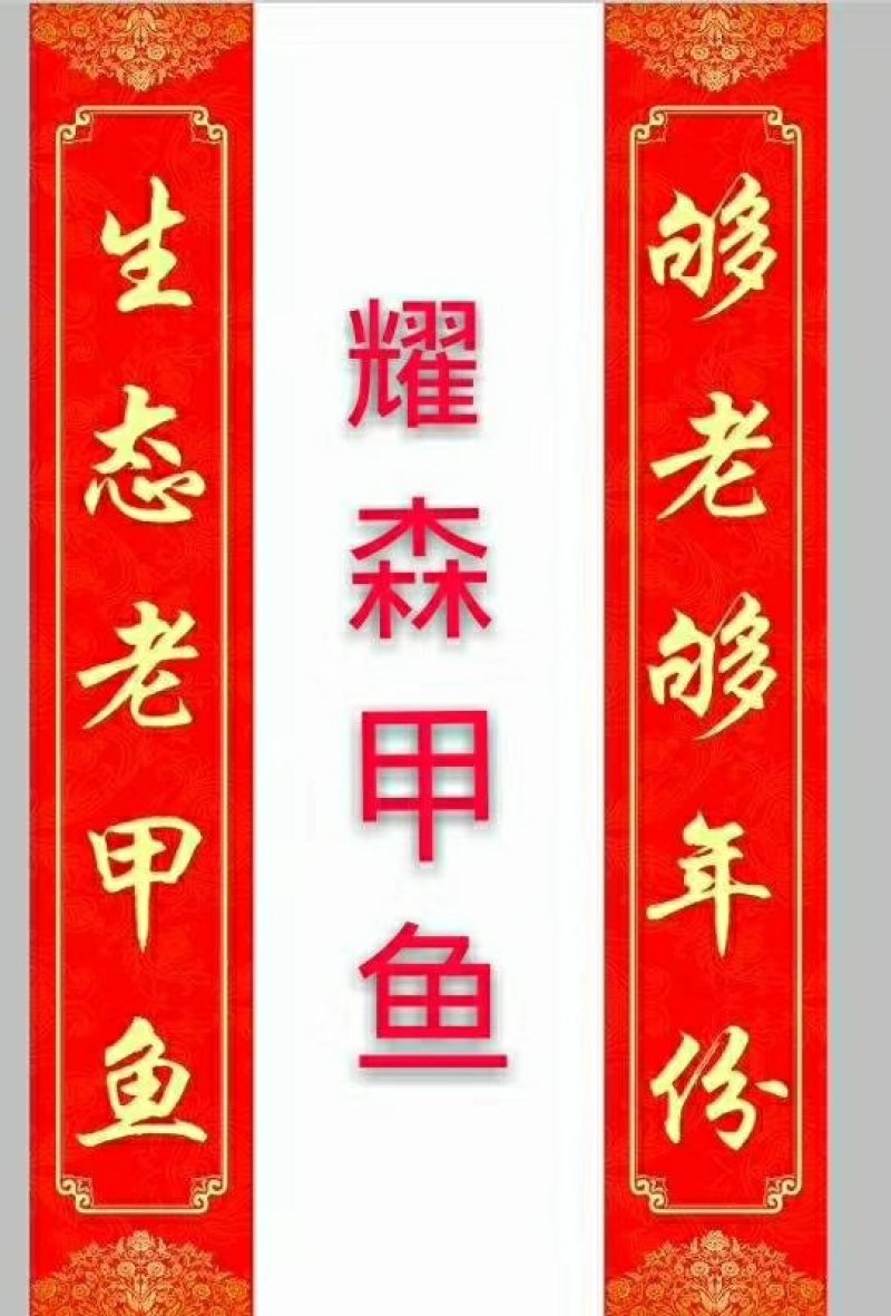 洞庭湖甲鱼