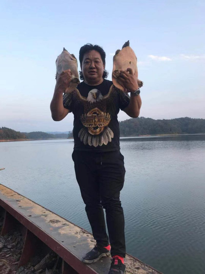 洞庭湖甲鱼