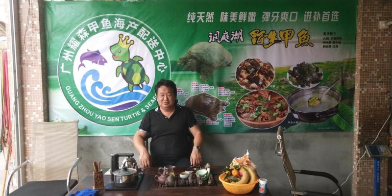 洞庭湖甲鱼