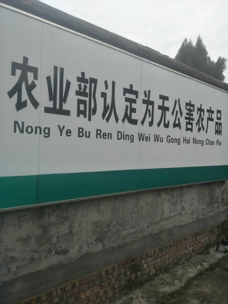 洞庭湖甲鱼