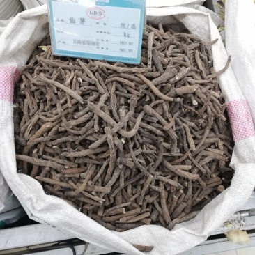 仙茅
