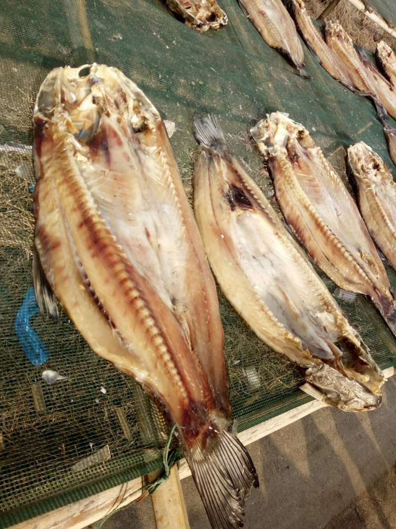 湖北特产螺蛳青鱼干鱼块腌腊鱼风干青鱼块