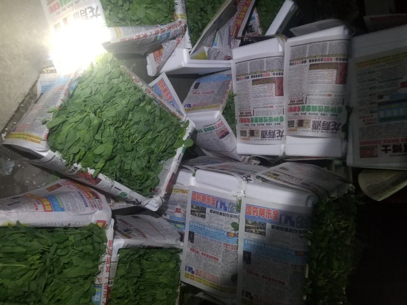 豆苗自产自销精品货四川豌豆尖绝对厚道的做工