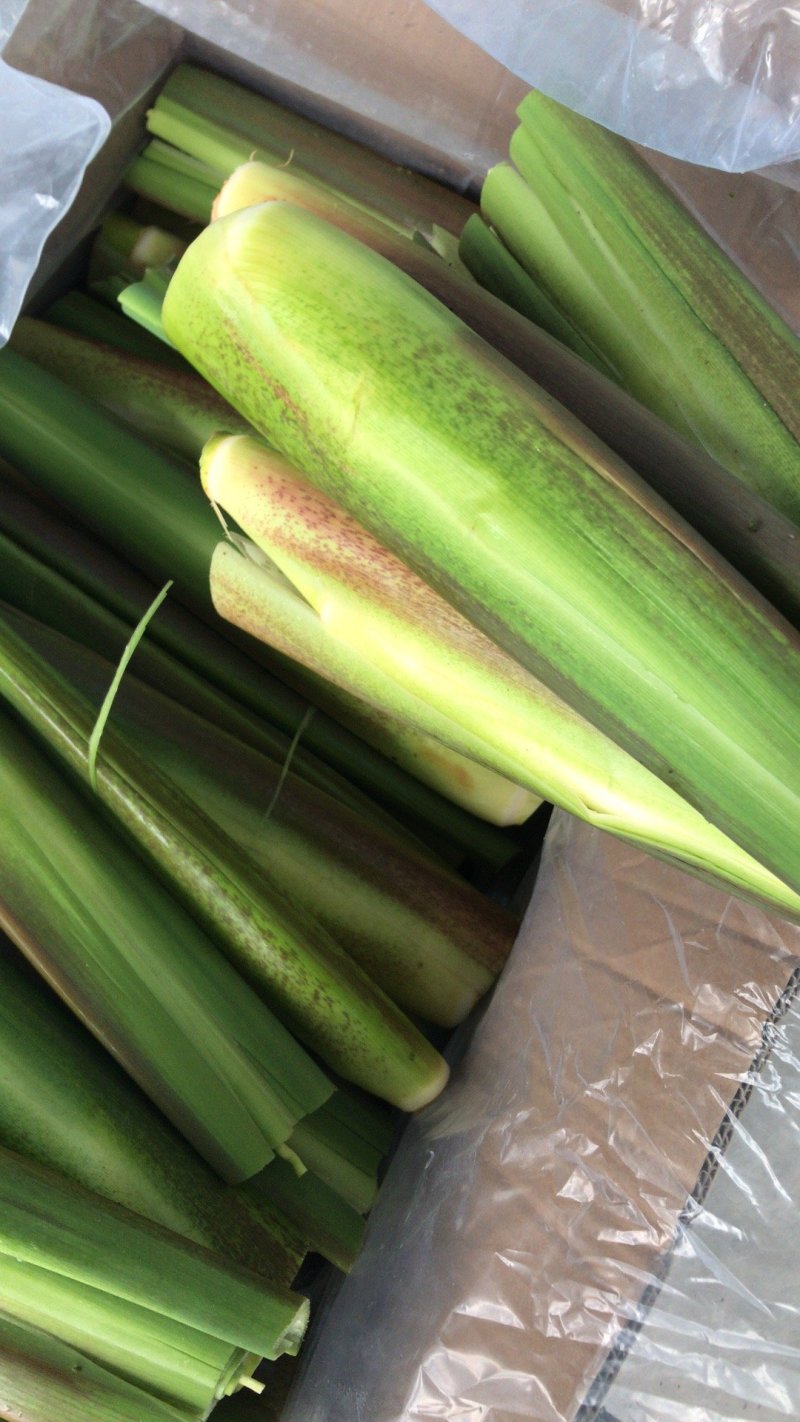 优质茭白