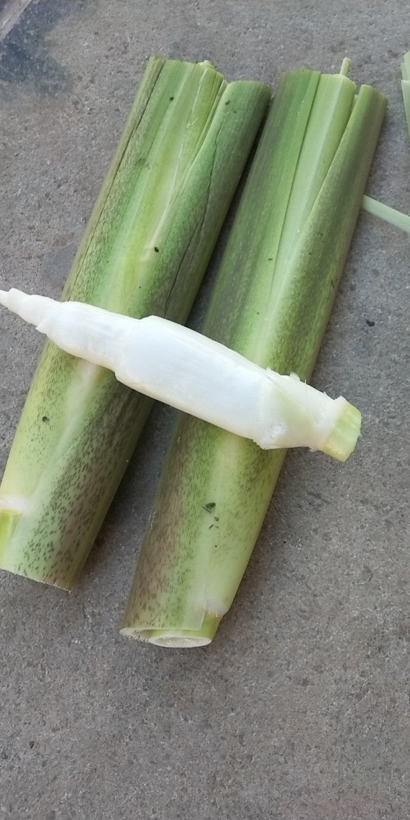 优质茭白