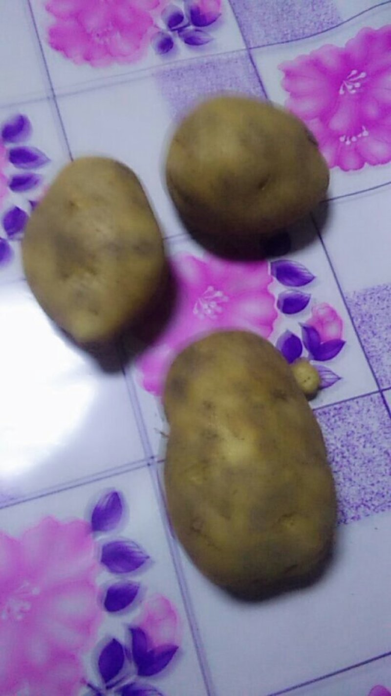 纯羊粪土豆
