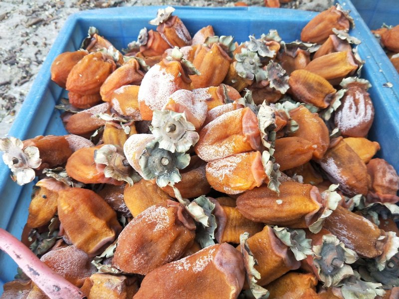 柿饼