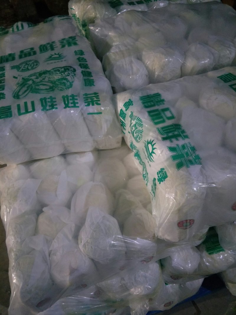 我处娃娃菜大量上市了。品种齐全