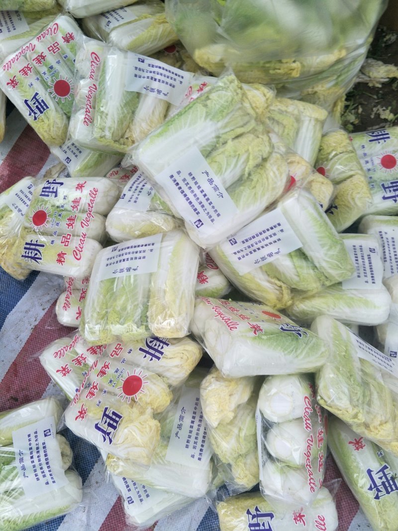 我处娃娃菜大量上市了。品种齐全