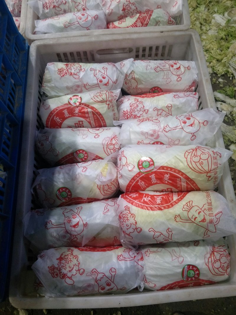 我处娃娃菜大量上市了。品种齐全