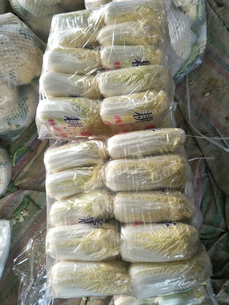 我处娃娃菜大量上市了。品种齐全