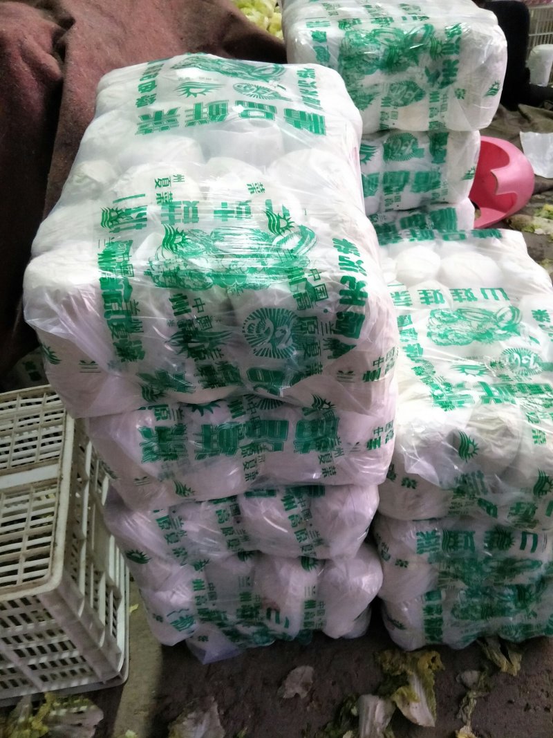 我处娃娃菜大量上市了。品种齐全