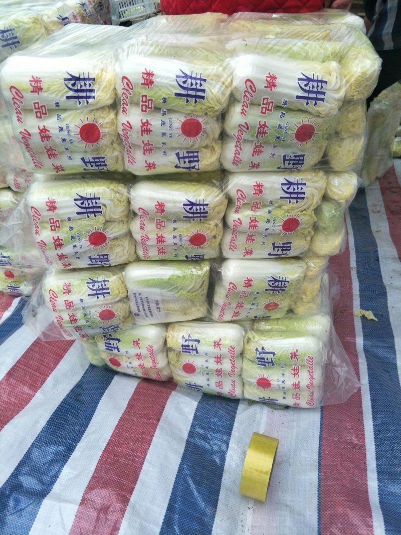 我处娃娃菜大量上市了。品种齐全
