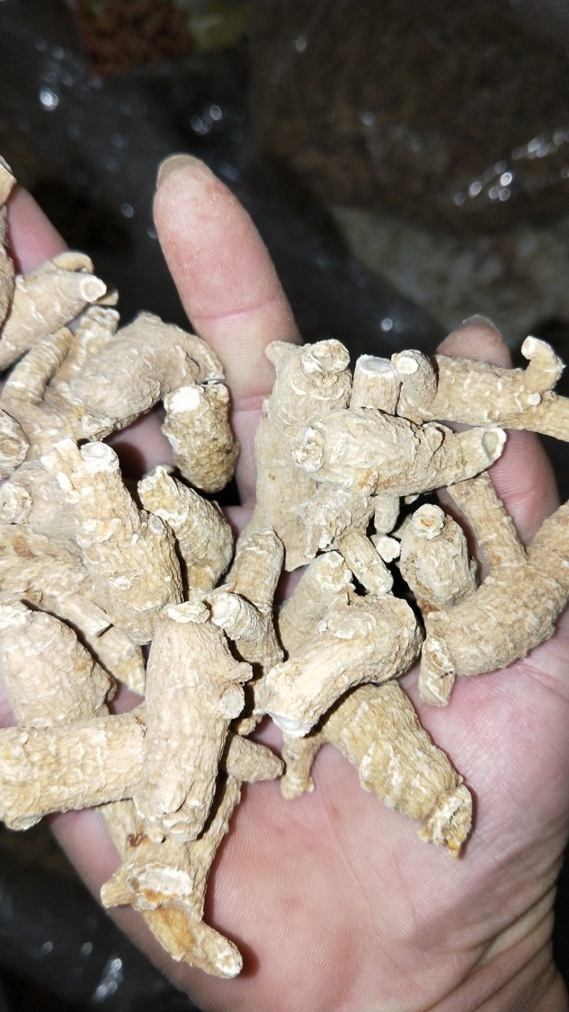 药材