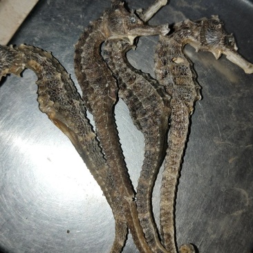 药材