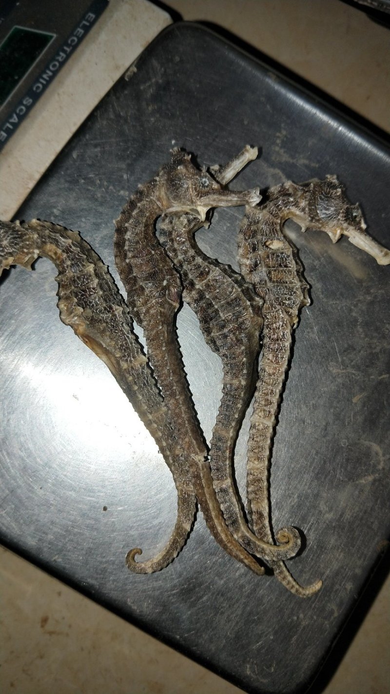 药材