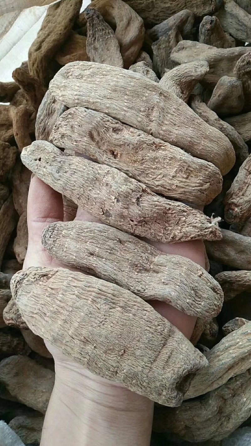 药材
