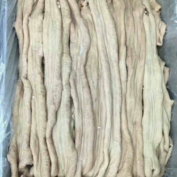 牛小肠