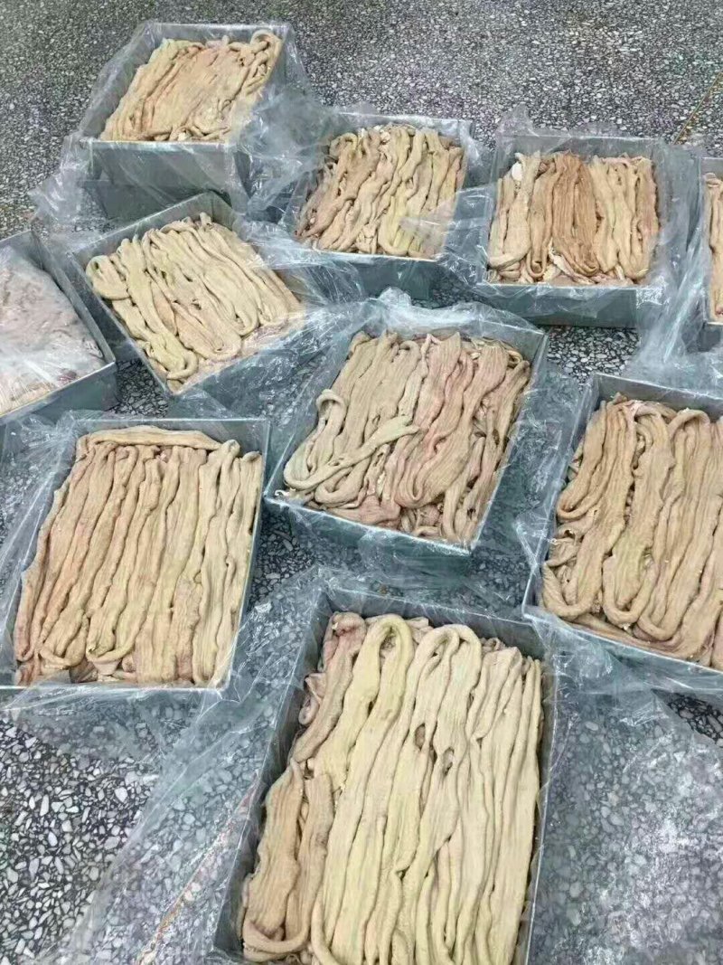 牛小肠