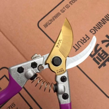树枝剪