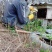 纯生态野生土蜂蜜冬蜜有需要要的请联系我。