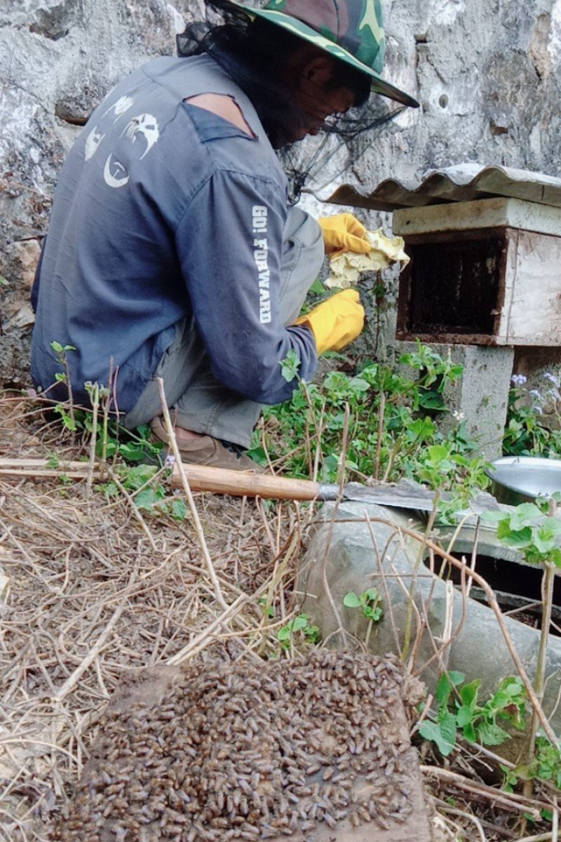 纯生态野生土蜂蜜冬蜜有需要要的请联系我。