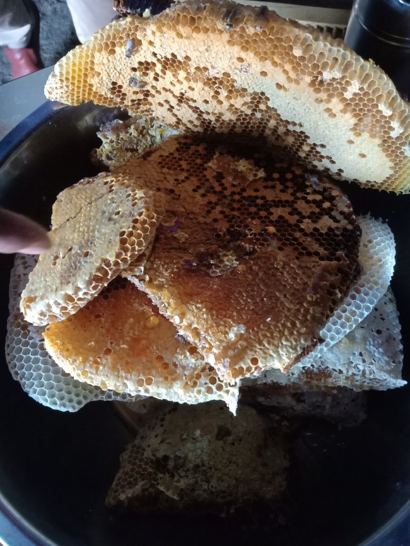 纯生态野生土蜂蜜冬蜜有需要要的请联系我。