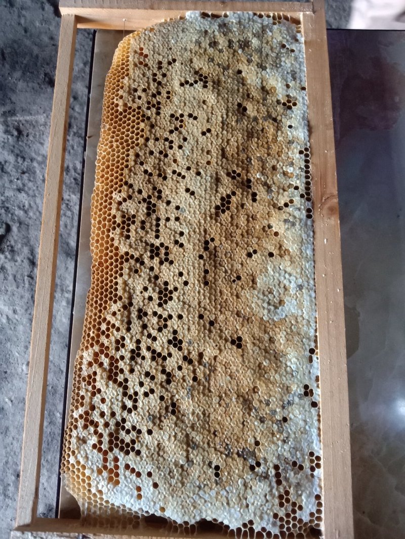 纯生态野生土蜂蜜冬蜜有需要要的请联系我。