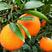 锦橙自家果园，果形椭圆，耐运，耐存放，价格实惠，深受好评