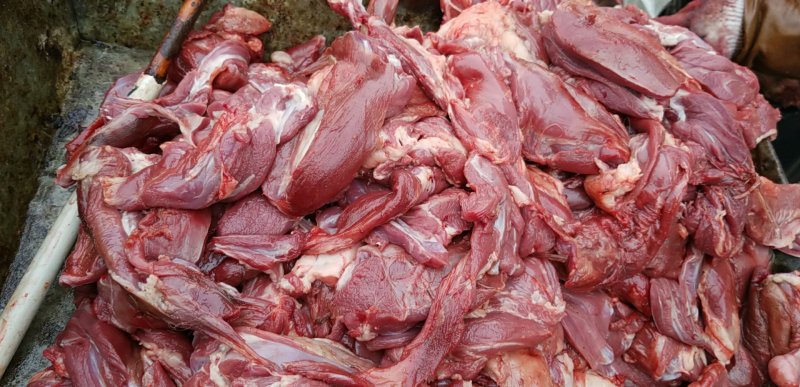 貉肉