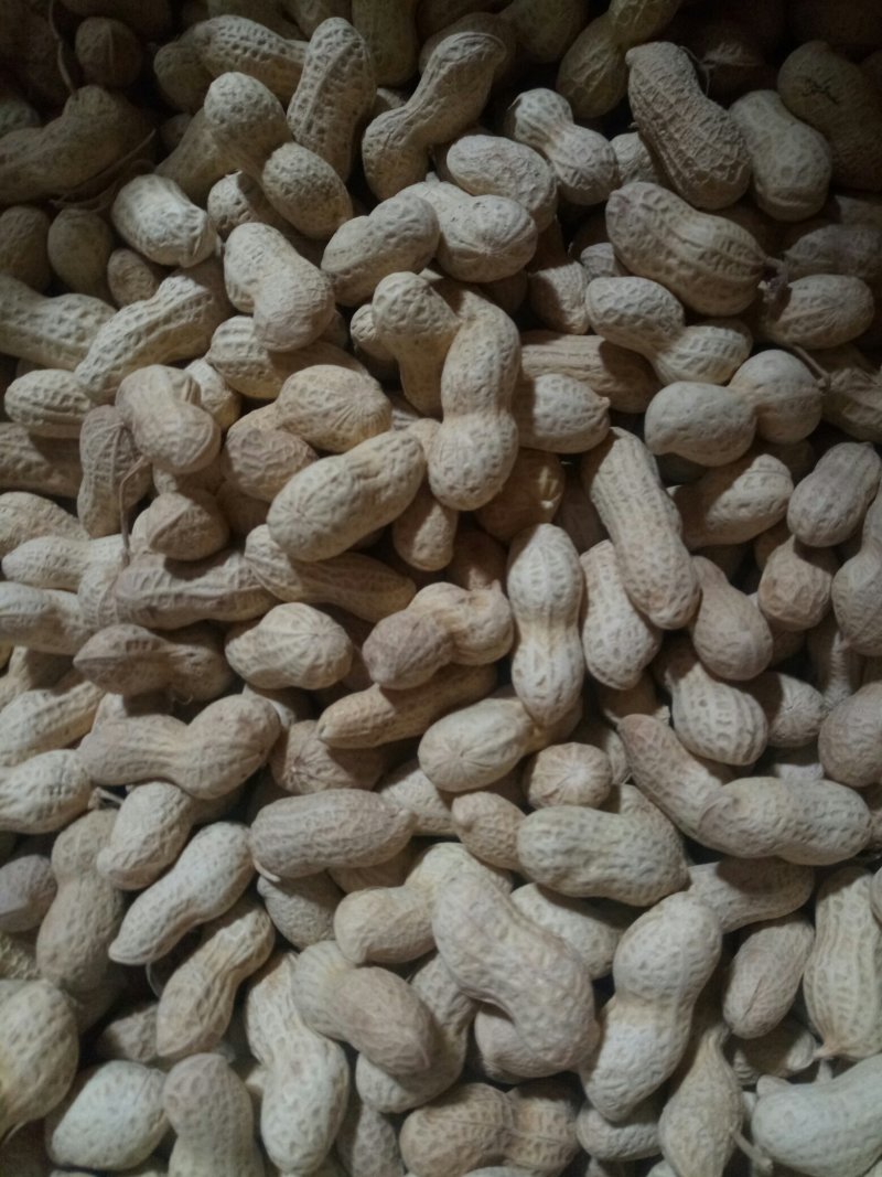 干炒原味花生（包邮）