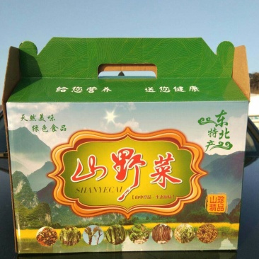 刺老芽