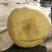 新货廊文玩葫芦种子超市，在售品种150余种，支持淘宝和微