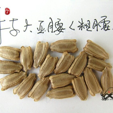 新货廊文玩葫芦种子超市，在售品种150余种，支持淘宝和微