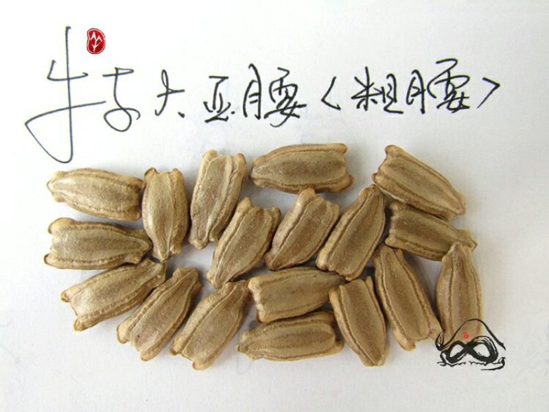 新货廊文玩葫芦种子超市，在售品种150余种，支持淘宝和微