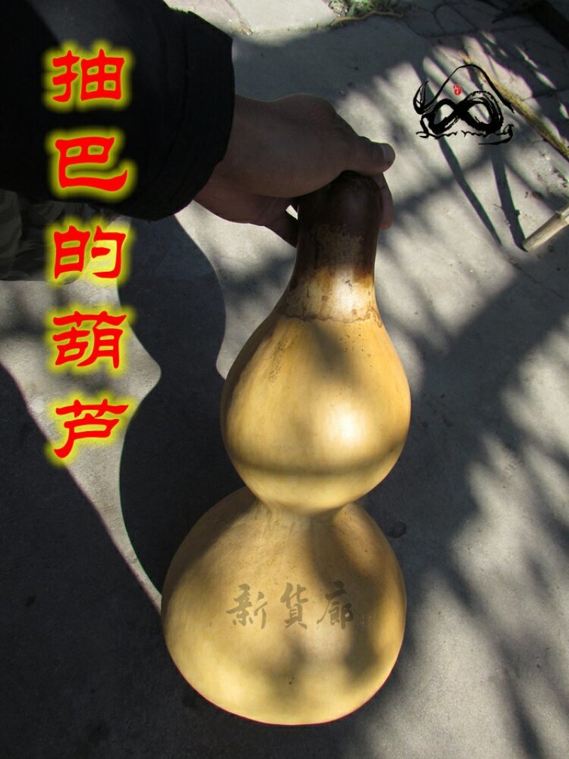 新货廊文玩葫芦种子超市，在售品种150余种，支持淘宝和微