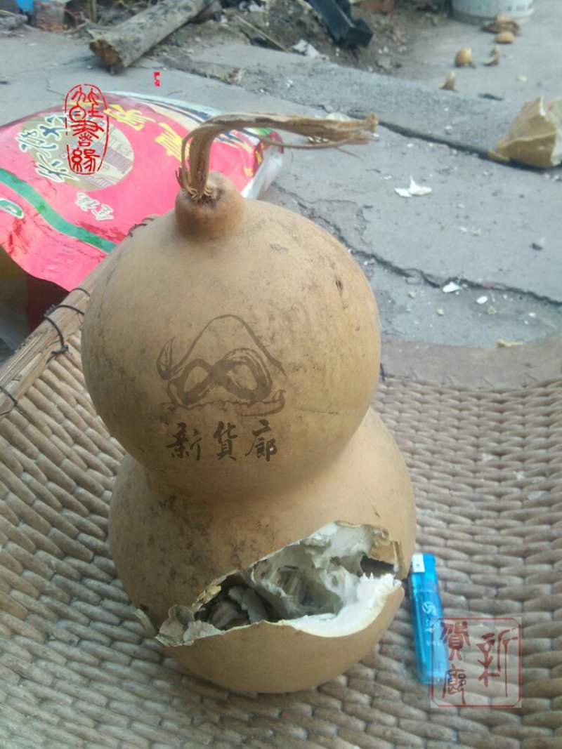 新货廊文玩葫芦种子超市，在售品种150余种，支持淘宝和微