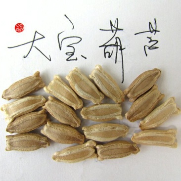 新货廊文玩葫芦种子超市，在售品种150余种，支持淘宝和微