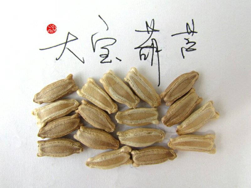 新货廊文玩葫芦种子超市，在售品种150余种，支持淘宝和微