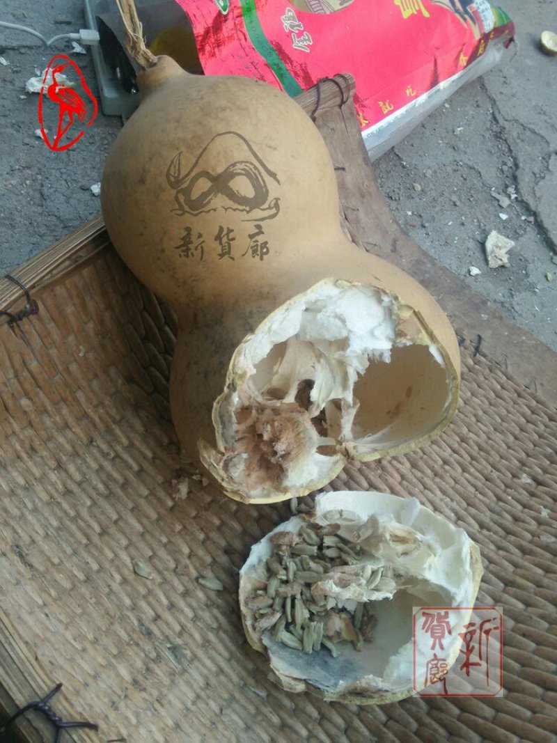 新货廊文玩葫芦种子超市，在售品种150余种，支持淘宝和微