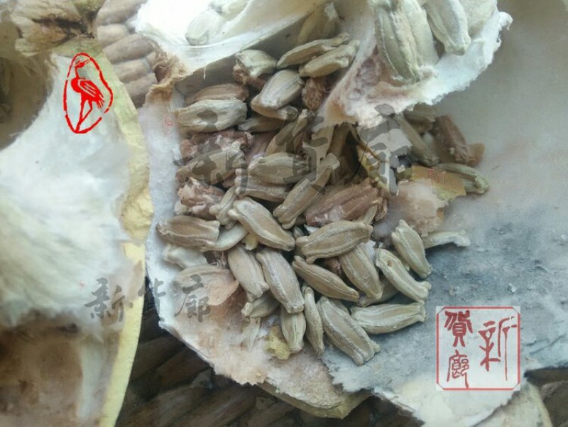 新货廊文玩葫芦种子超市，在售品种150余种，支持淘宝和微