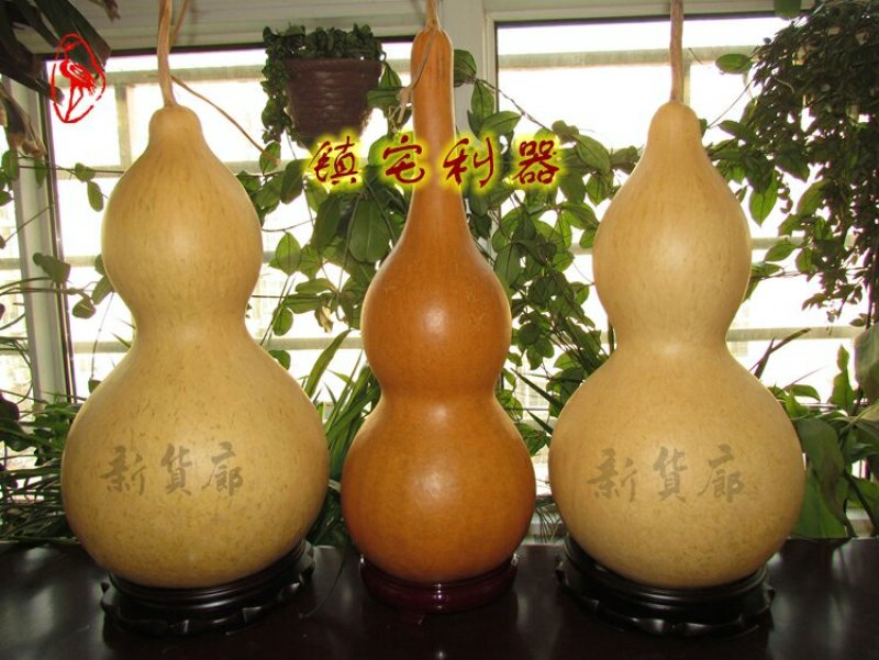 新货廊文玩葫芦种子超市，在售品种150余种，支持淘宝和微