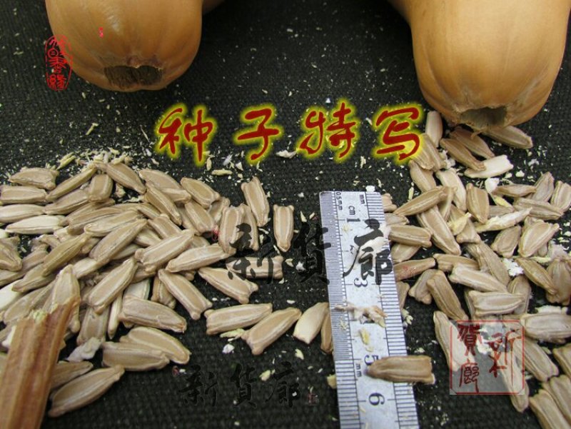 新货廊文玩葫芦种子超市，在售品种150余种，支持淘宝和微