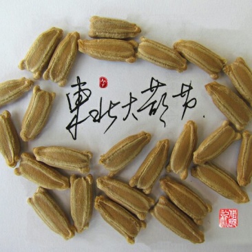新货廊文玩葫芦种子超市，在售品种150余种，支持淘宝和微