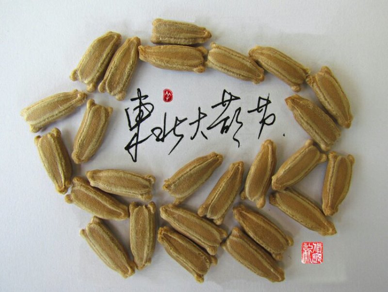 新货廊文玩葫芦种子超市，在售品种150余种，支持淘宝和微