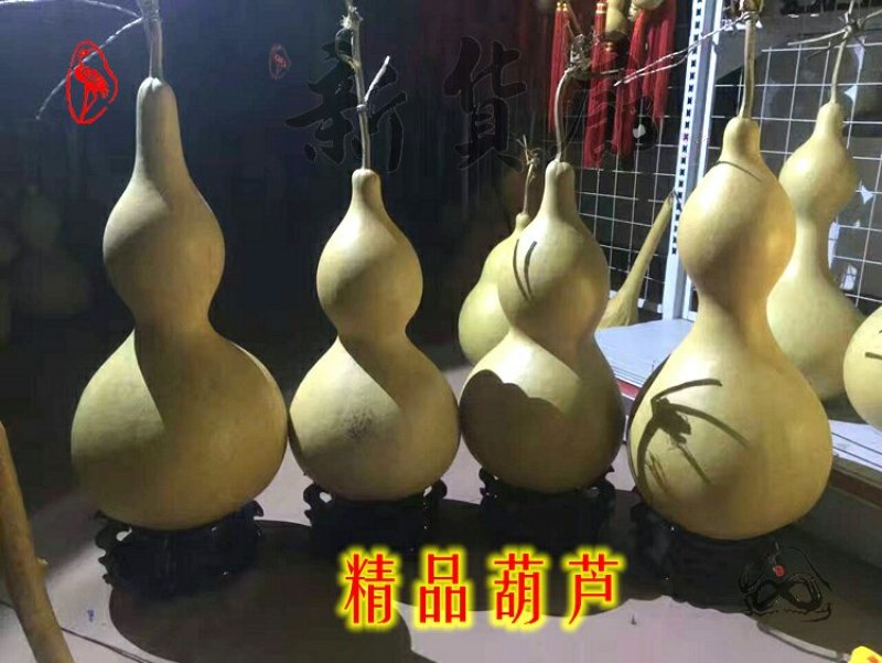 新货廊文玩葫芦种子超市，在售品种150余种，支持淘宝和微