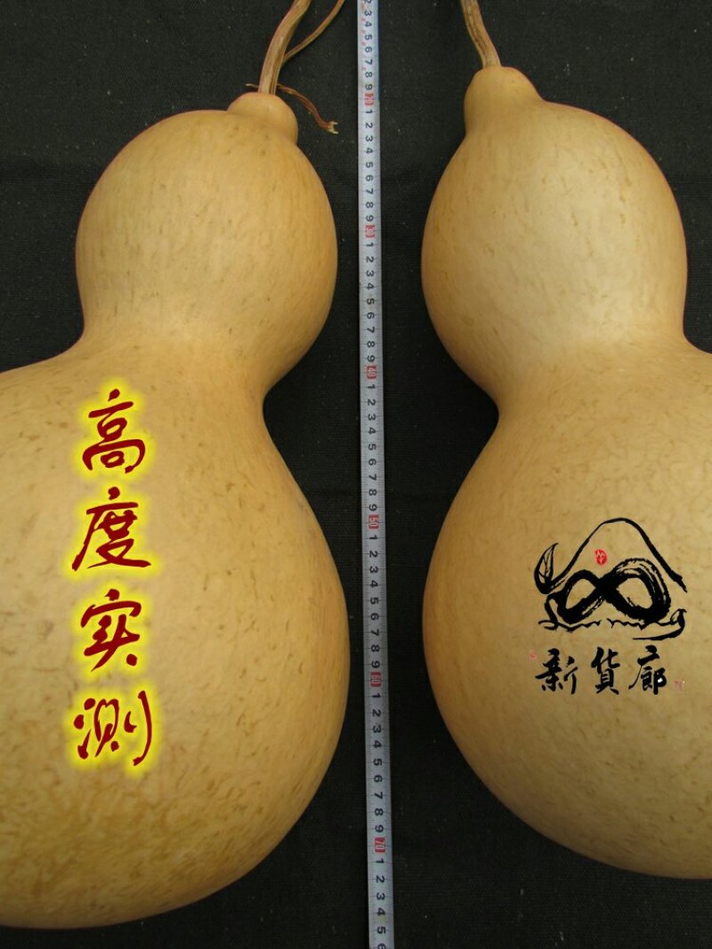新货廊文玩葫芦种子超市，在售品种150余种，支持淘宝和微