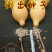 新货廊文玩葫芦种子超市，在售品种150余种，支持淘宝和微